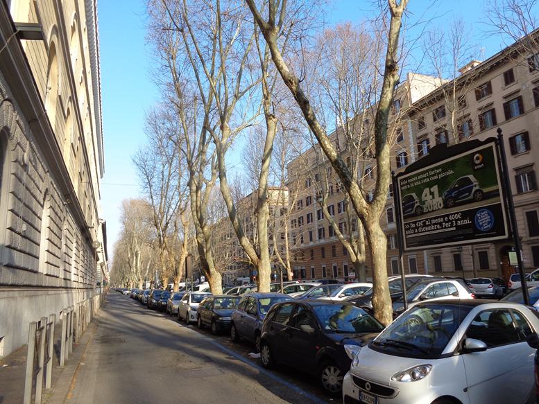 GREGOR 432 Viale Giulio Cesare altezza civ. 97 altezza Via Caio Mario