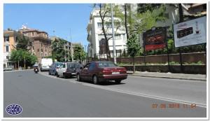 VIALE MEDAGLIE D'ORO C.317
