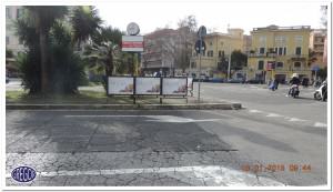 PARAPEDONALI  28