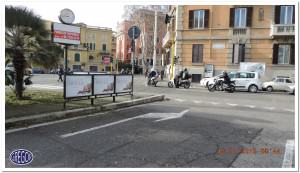 PARAPEDONALI  29