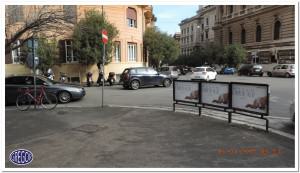PARAPEDONALI  30